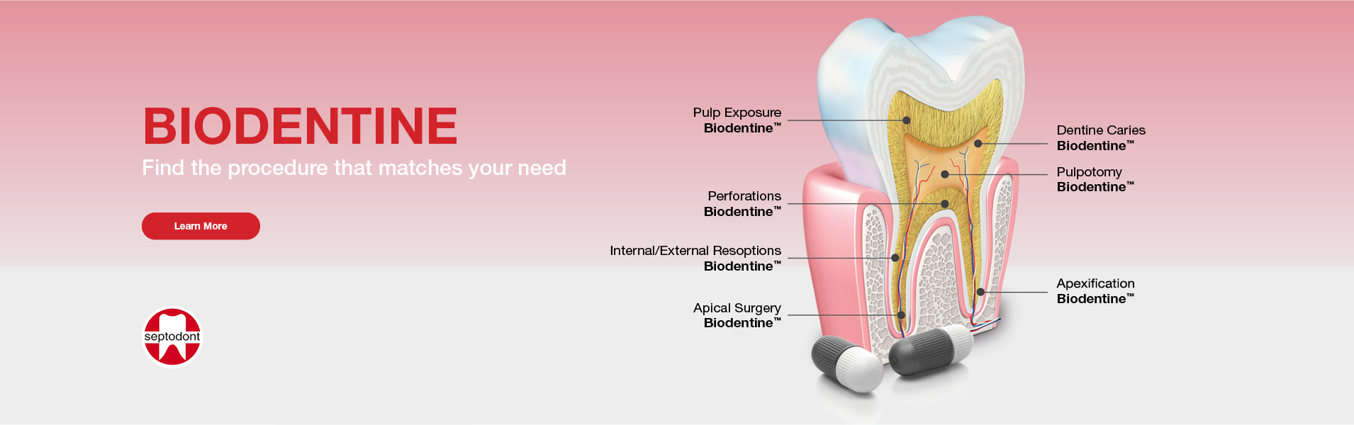 Biodentine Web Banner - May 2025